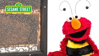 Sesame Street: Elmo and Kids Meet a Beekeeper featuring @hihokids