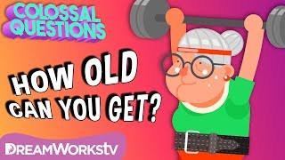 How Old Can You Get? | COLOSSAL QUESTIONS