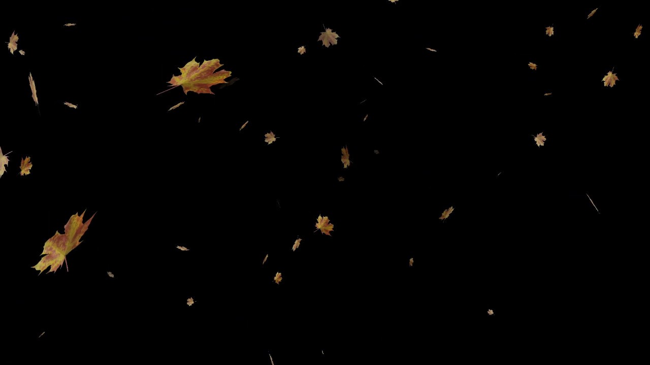 Leaves falling overlay video effect / free download CC0