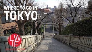 Where to go in Tokyo (Hint: Anywhere)!