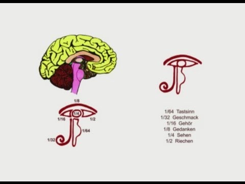 Ancient Egyptians knew this Eye of Horus : Fractions in your Brain Over ...