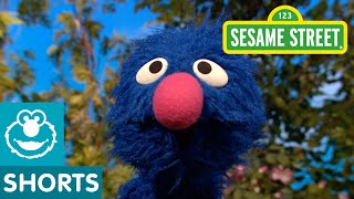 Sesame Street: Grover Jumps For Joy