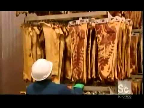 How It's Made Bacon - Discovery Channel Science