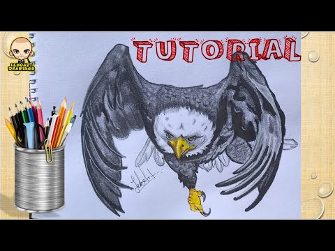 DIBUJO A LAPIZ - Como Dibujar un Águila Realista Paso a Paso | técnicas de  dibujo - YouTube