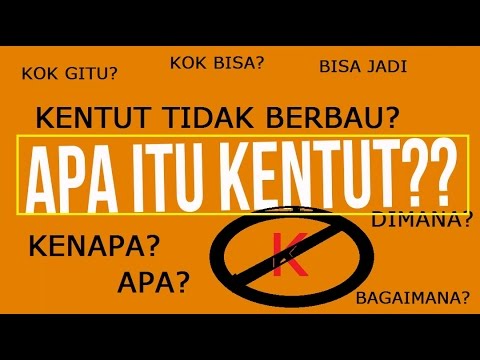 APA ITU KENTUT? - YouTube