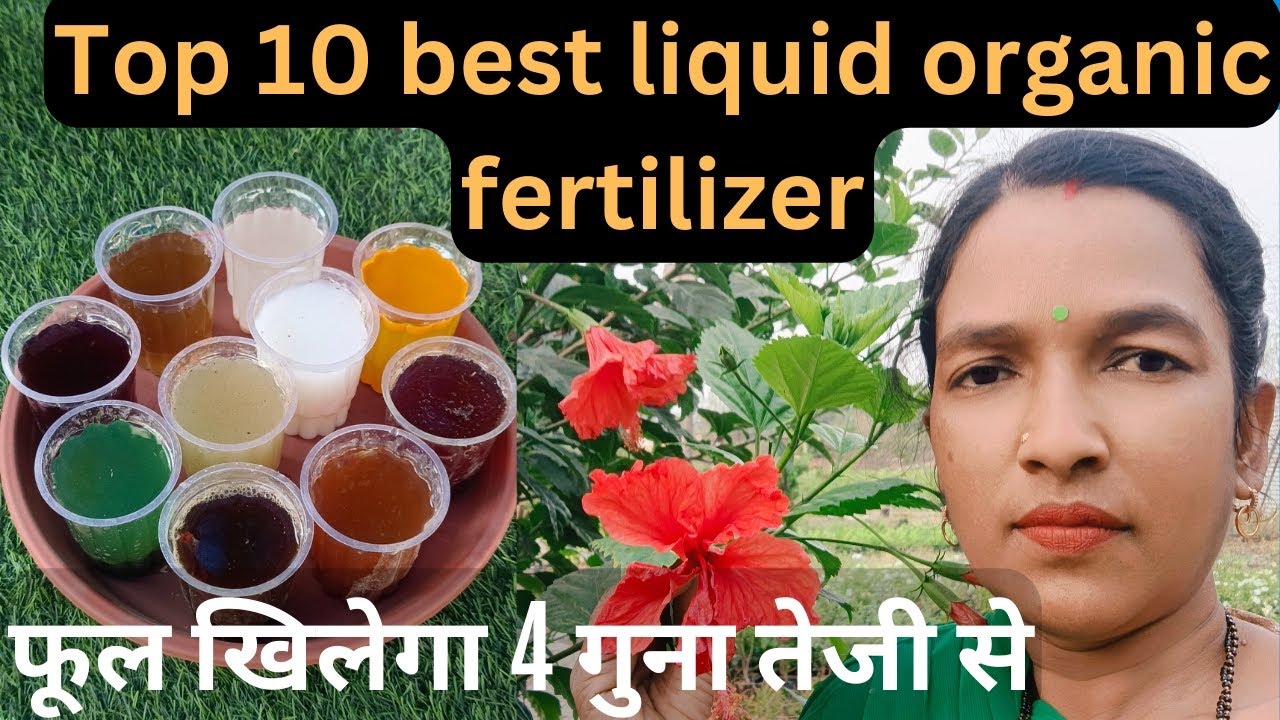 Top 10 best liquid organic fertilizer. homemade natural fertilizer ...