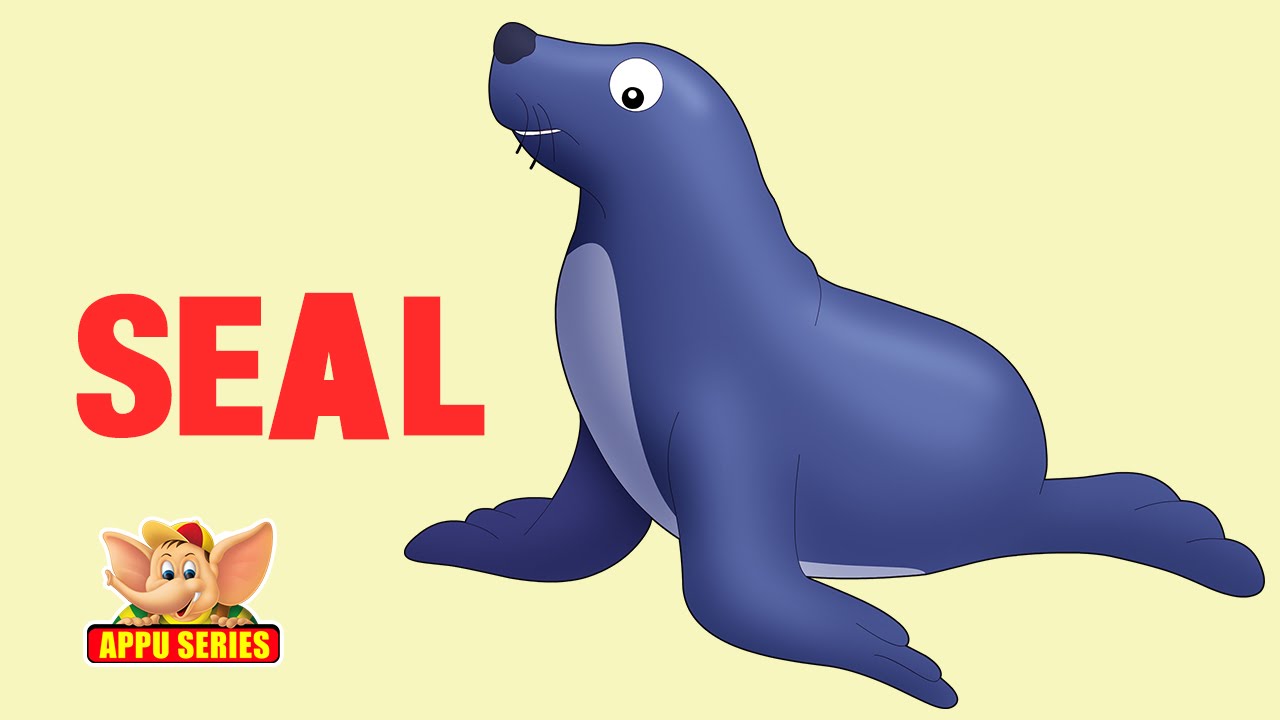 Cartoon Seal Clapping