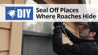 Seal off Places Where Roaches Hide