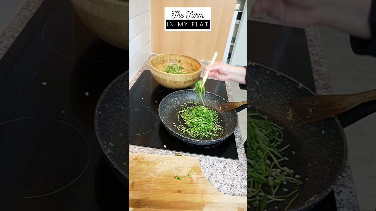 Peashoot Microgreen recipe | How to make a simple stir fry with Peashoots and Garlic | EN + NL subs