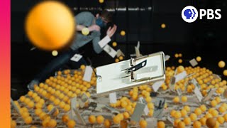 Visualizing Herd Immunity (with 500 Mousetraps!) (feat. @The Slow Mo Guys)