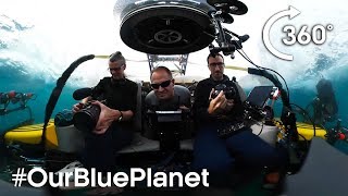 Journey 1000m Below The Waves In 360° #OurBluePlanet - BBC Earth