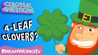 Are 4-Leaf Clovers Lucky? | COLOSSAL QUESTIONS