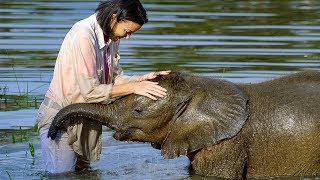 Baby elephant overcomes fear of water | BBC Earth