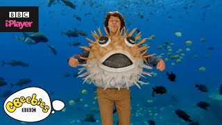 Andy's Aquatic Raps | Fish Fiesta | CBeebies