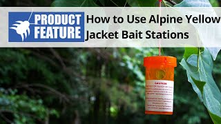 How to Use Alpine Yellow Jacket Wasp Bait Stations