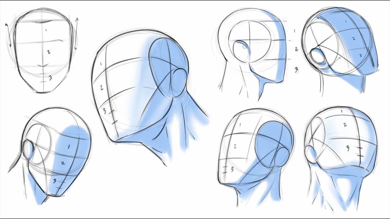 Steps To Draw Heads