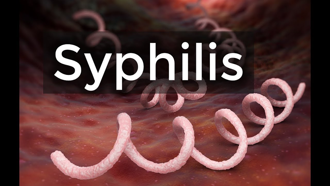 Syphilis Histology