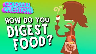 How Do You Digest Food? | COLOSSAL QUESTIONS