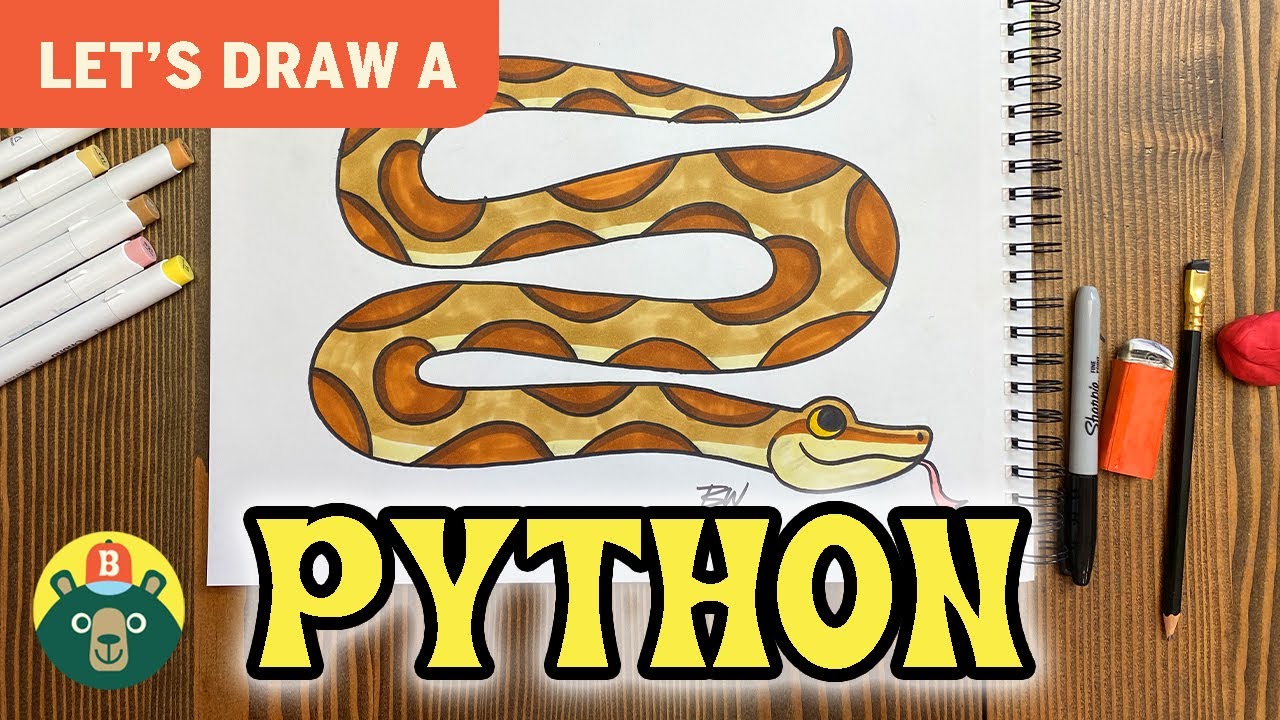 How do you draw Florida's invasive Burmese python?