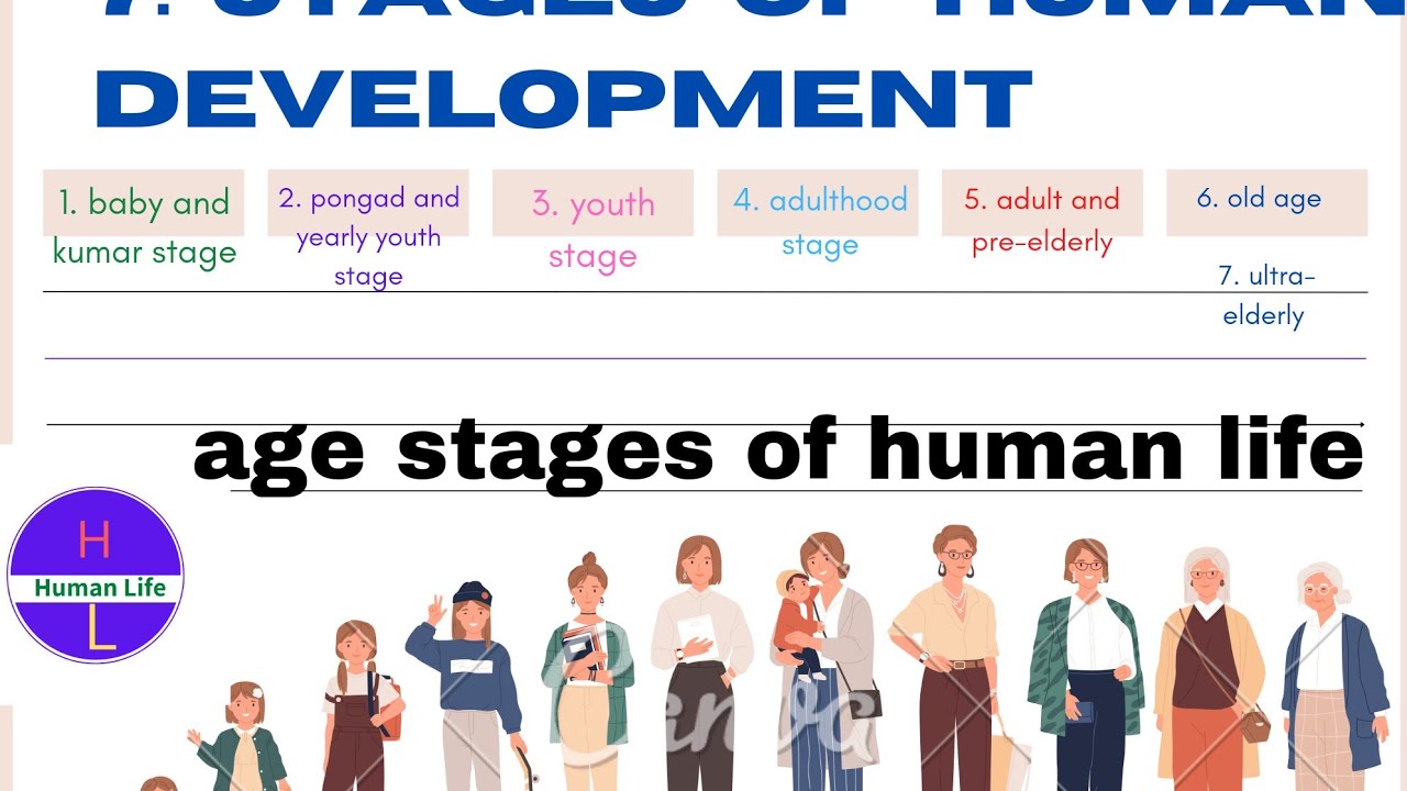 Development Stages Age