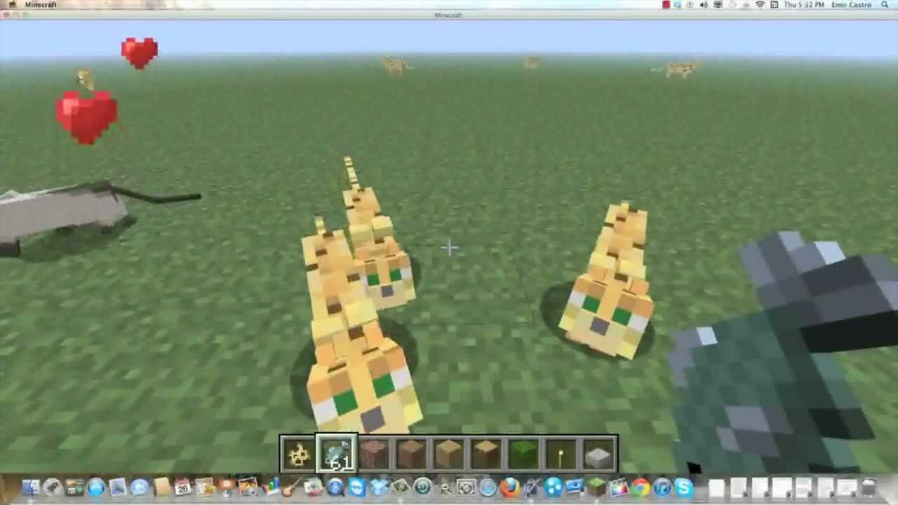 how to feed a cat in minecraft - graciela-kotter