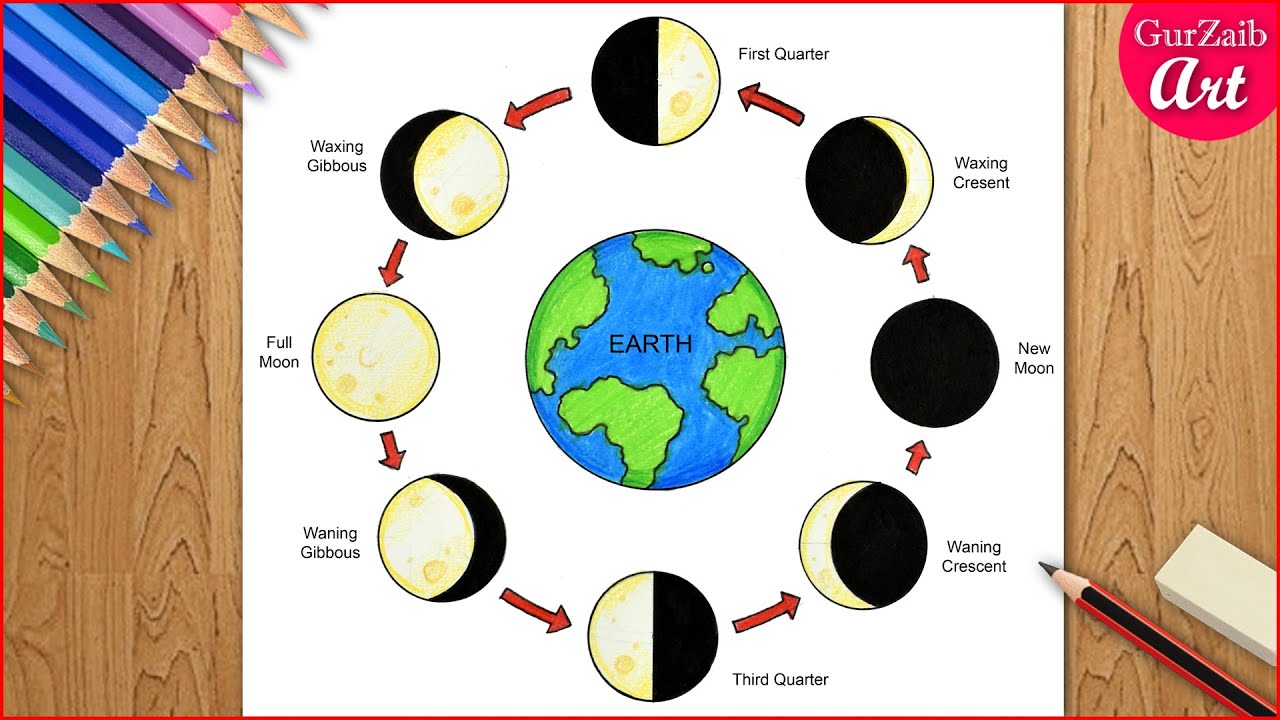 8 Phases Of The Moon Drawing