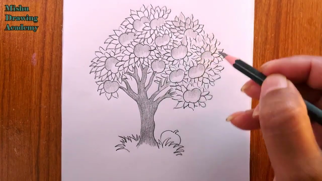 how to draw an apple tree/apple tree drawing - YouTube