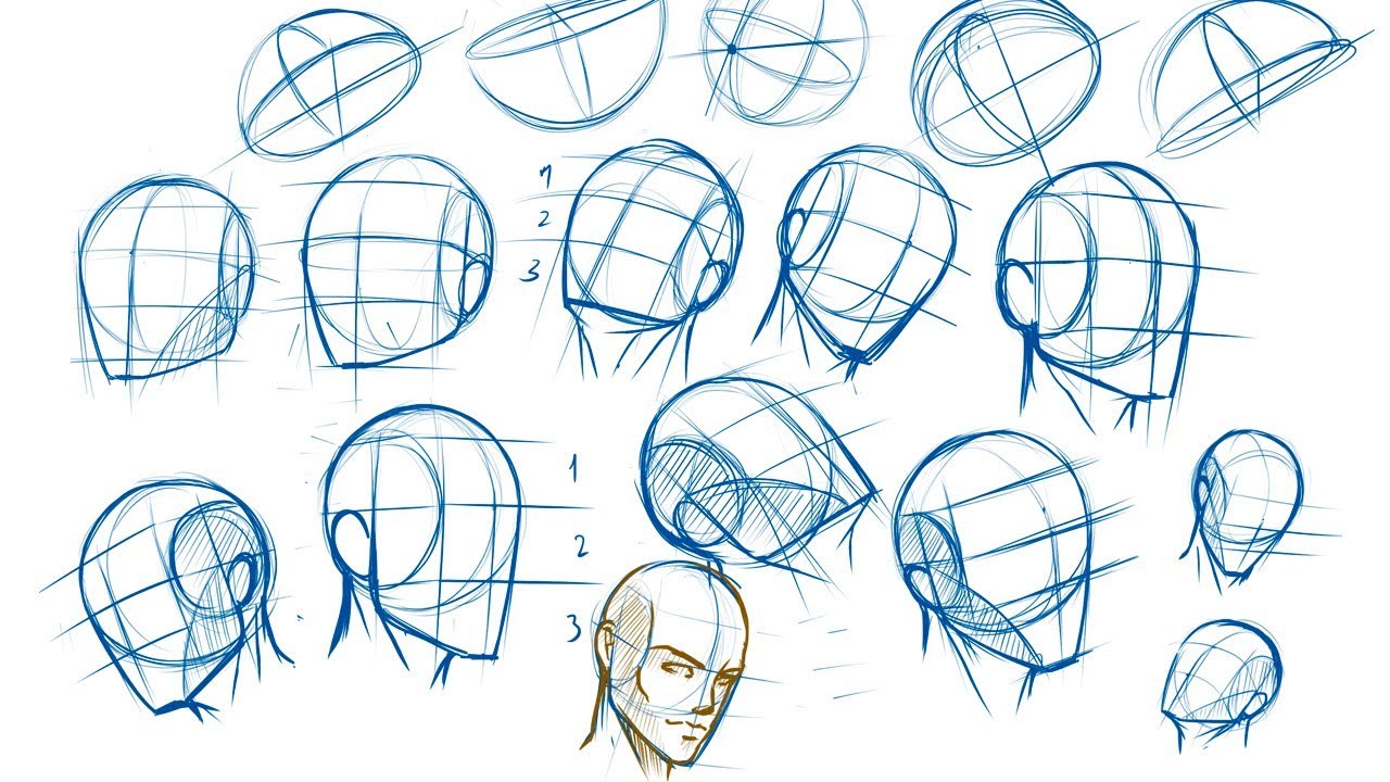 Share 65+ basic head sketch - seven.edu.vn