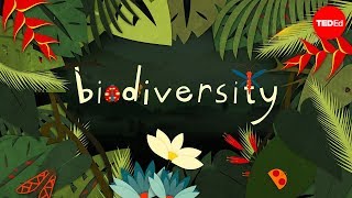 Why Is Biodiversity So Important? - Kim Preshoff