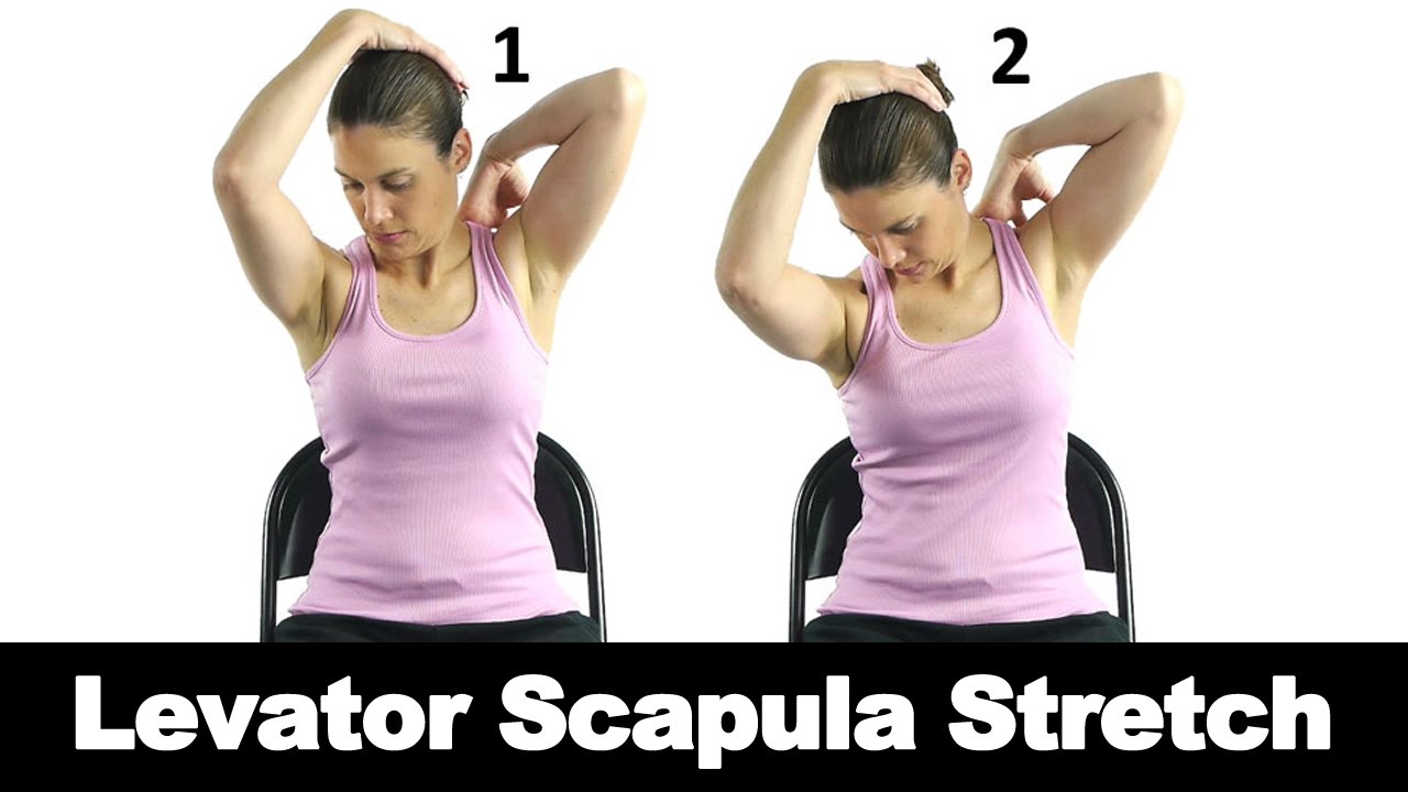 Levator Scapulae Stretch