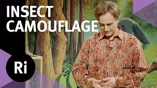 How Stick Insects Use Camouflage - with Richard Dawkins