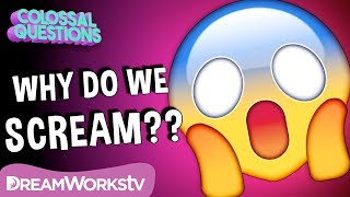 Why Do We Scream When We’re Scared? | COLOSSAL QUESTIONS