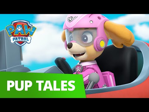 PAW Patrol | Pups Save Ace's Plane! | Rescue Episode | PAW Patrol ...