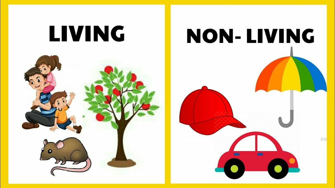 Living And Non Living Things - Lessons - Blendspace