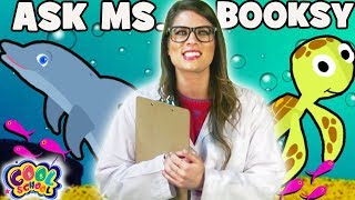  Ms. Booksy's Ocean Fun Facts! | #AskMsBooksy | Cool School