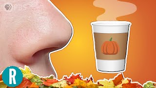 Why Does Fall Smell So gOOd? (feat. @PBS Eons @Alex Dainis )