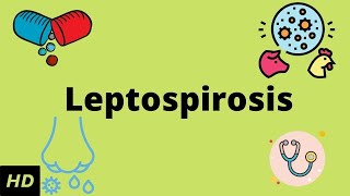 Leptospirosis