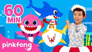 baby shark dance more kids songs compilation pinkfong baby shark