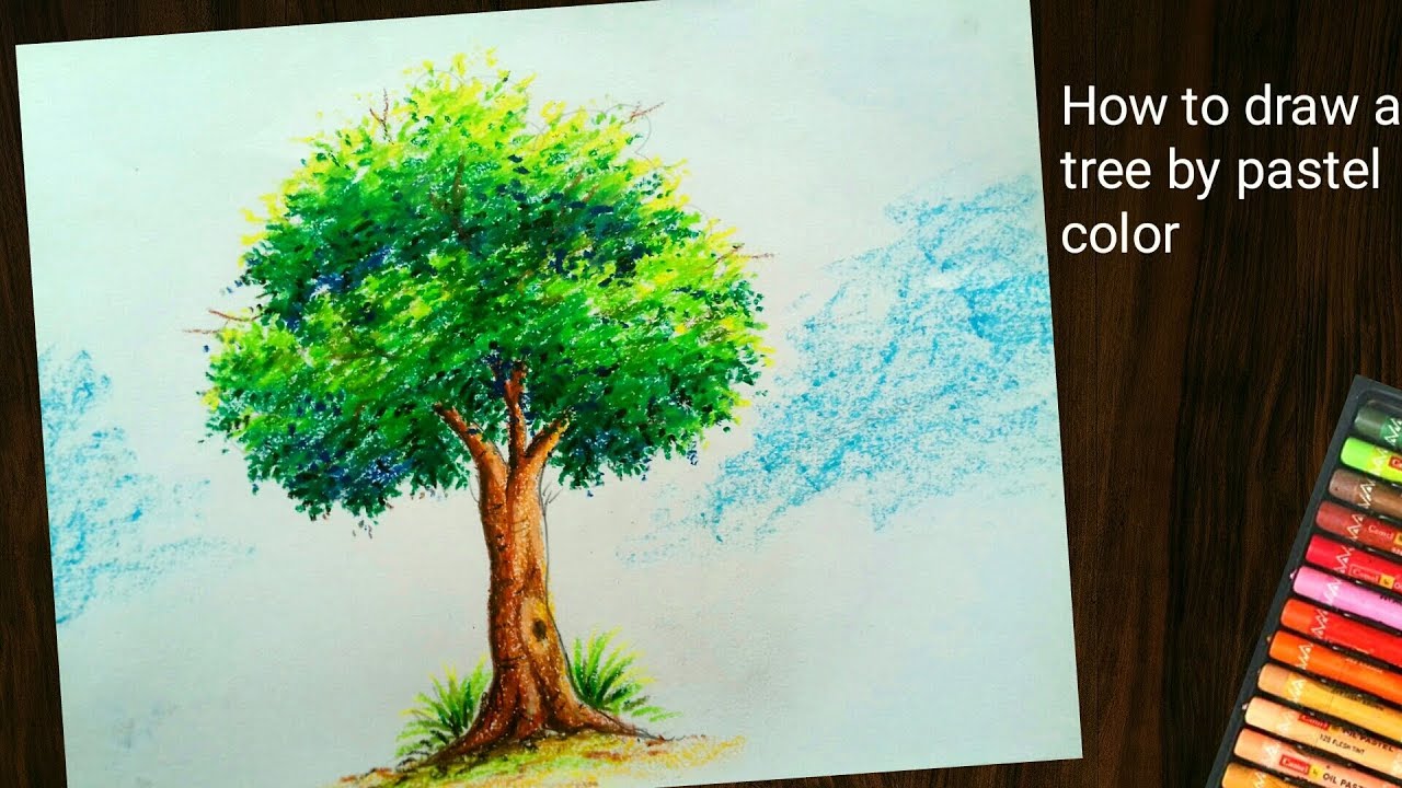 How to draw tree by pastel color ||tree painting - YouTube