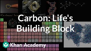 Carbon As A Building Block Of Life