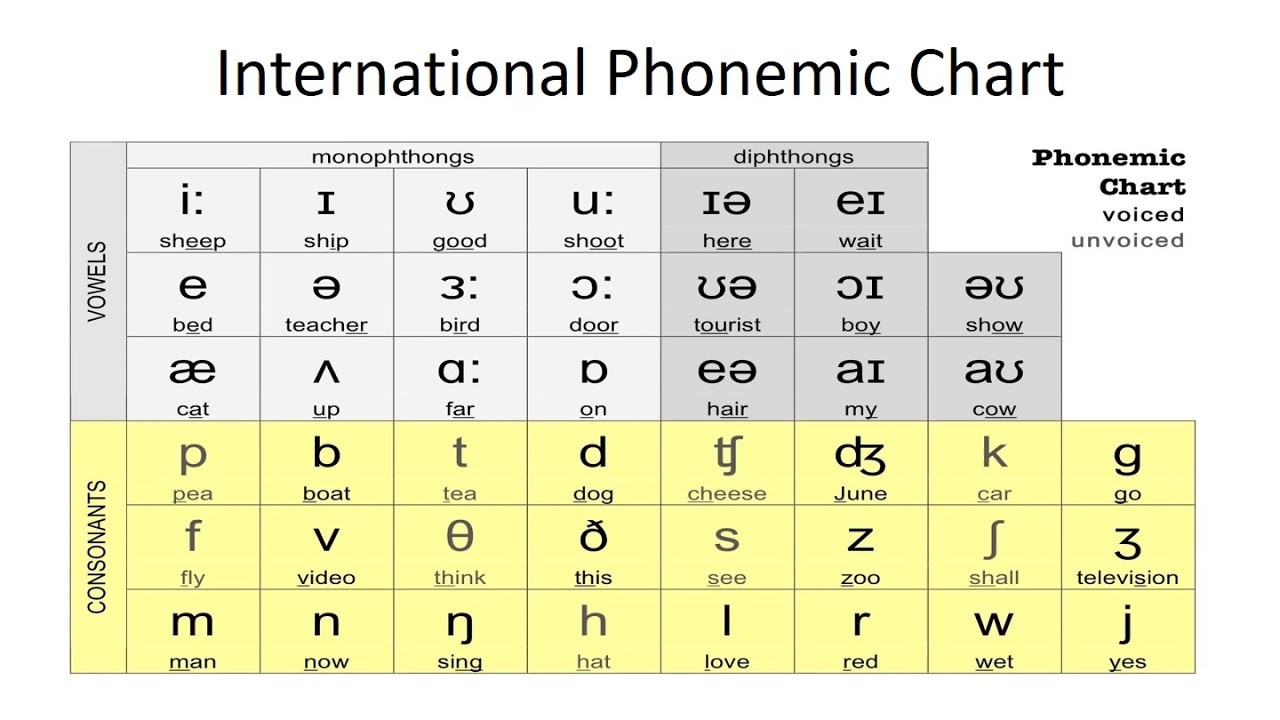 Easy Phonetic Alphabet Usa Interactive American Ipa Chart Alphabet ...