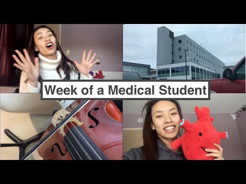 Vlog: Medical School Week - peripheral nerves | MED SCHOOL #1-14 - YouTube