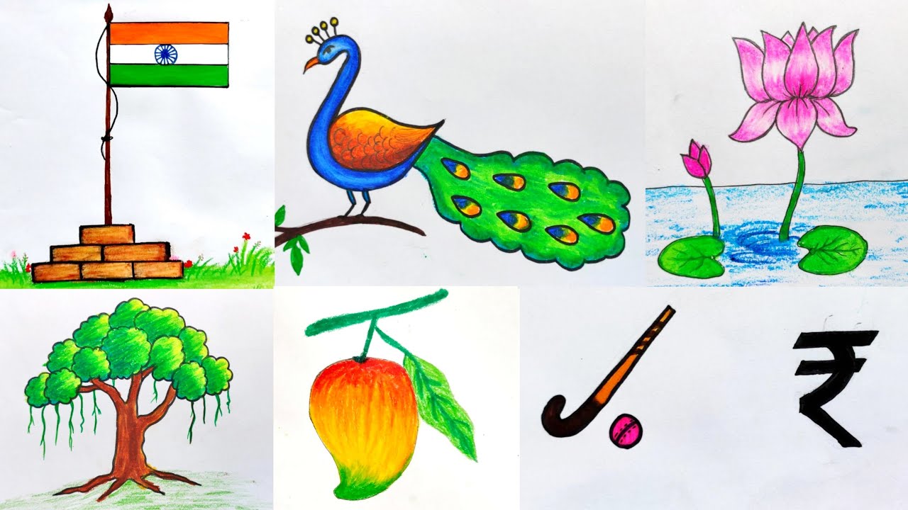 How to draw national symbols | National symbols of India drawing ...