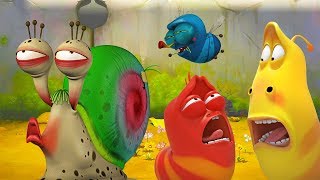 larva the biggest queue cartoons for children larva official