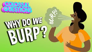 Why Do We Burp? | COLOSSAL QUESTIONS