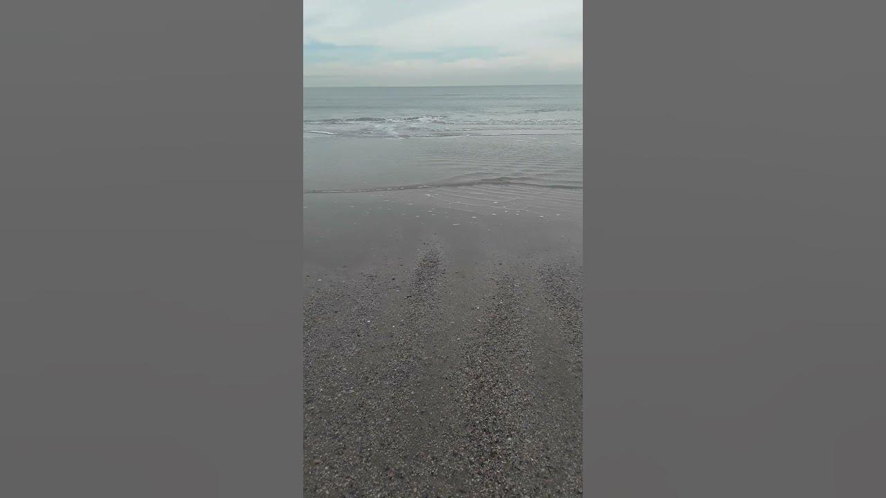 Galveston Beach | Galveston Texas | ASMR Spenta | Beach Life | Gulf Of ...