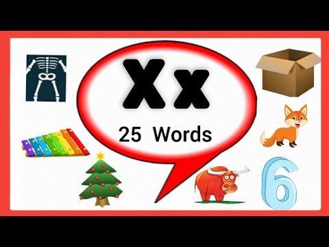 Letter X words for kids/Words start with letter X/X letter words ...