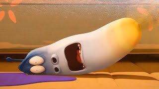 larva smelly larva 2018 cartoons for children funny animation larva official