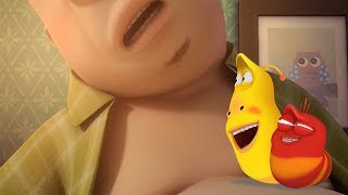 larva a smelly journey cartoons for children larva official