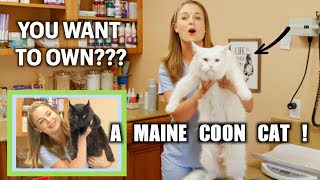 Owning a Maine Coon Cat!?! | The worlds biggest domestic cat breed!